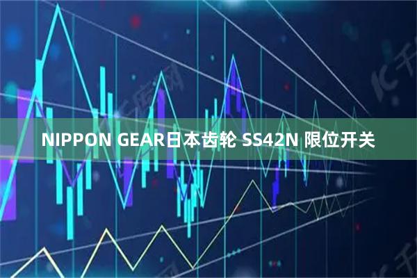 NIPPON GEAR日本齿轮 SS42N 限位开关