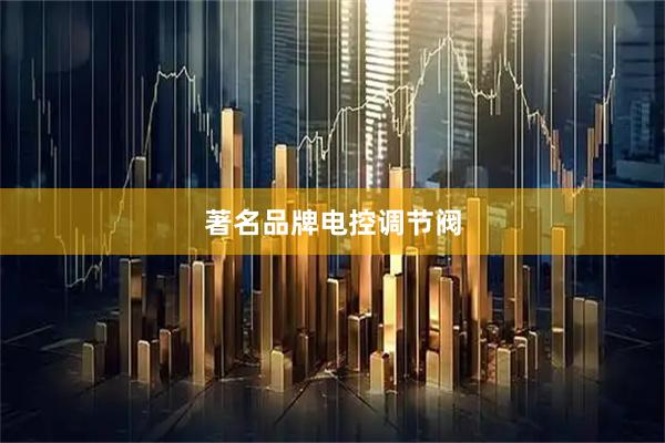 著名品牌电控调节阀