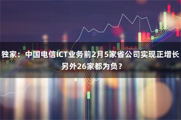 独家：中国电信ICT业务前2月5家省公司实现正增长 另外26家都为负？